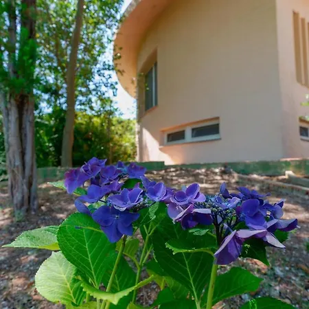 Bed & Breakfast Zola 4*