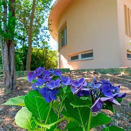 Zola Bed & Breakfast 4*